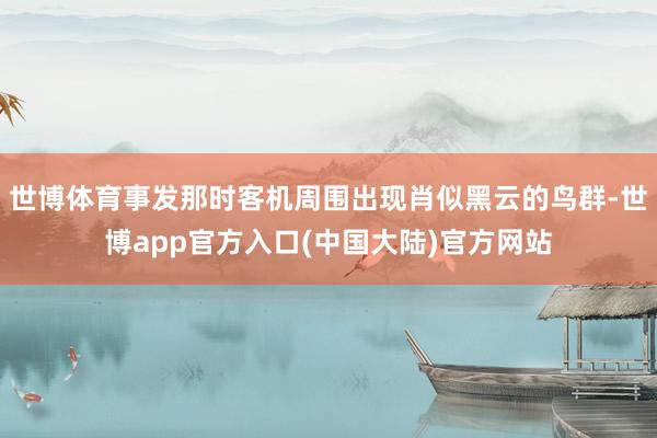世博体育事发那时客机周围出现肖似黑云的鸟群-世博app官方入口(中国大陆)官方网站