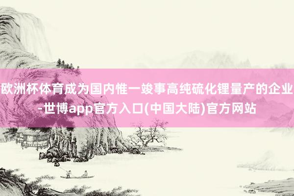 欧洲杯体育成为国内惟一竣事高纯硫化锂量产的企业-世博app官方入口(中国大陆)官方网站