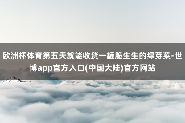 欧洲杯体育第五天就能收货一罐脆生生的绿芽菜-世博app官方入口(中国大陆)官方网站