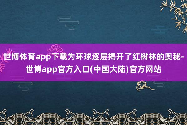 世博体育app下载为环球逐层揭开了红树林的奥秘-世博app官方入口(中国大陆)官方网站