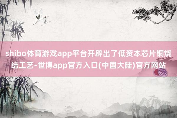 shibo体育游戏app平台开辟出了低资本芯片铜烧结工艺-世博app官方入口(中国大陆)官方网站