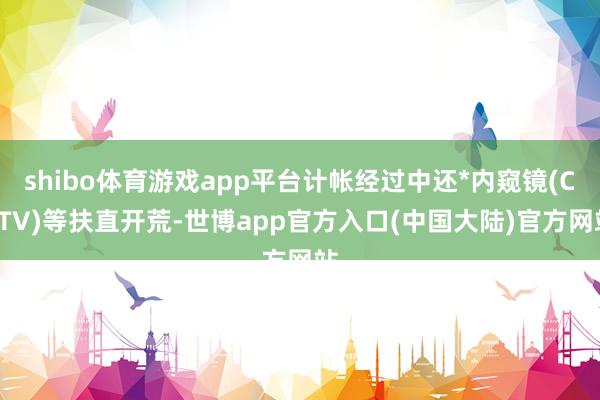 shibo体育游戏app平台计帐经过中还*内窥镜(CCTV)等扶直开荒-世博app官方入口(中国大陆)官方网站