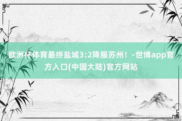 欧洲杯体育最终盐城3:2降服苏州！-世博app官方入口(中国大陆)官方网站
